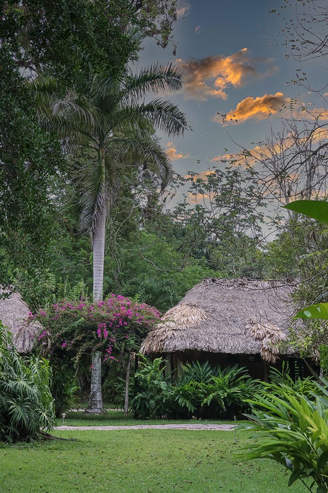 Belize-Central America-Chan Chich Ecolodge in the Western Belize Jungle